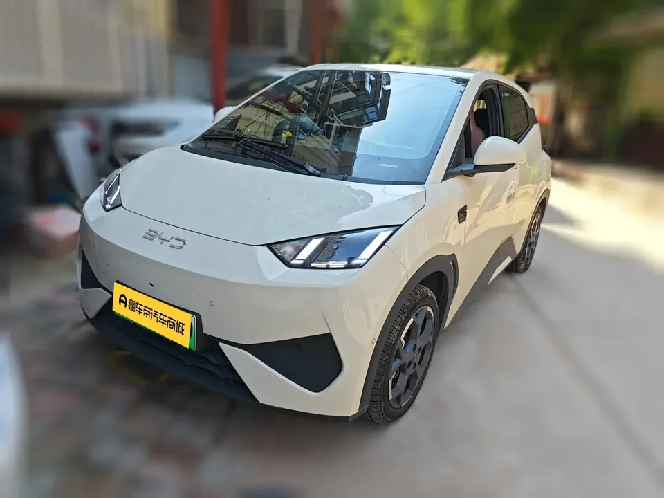 BYD Seagull seagull 2025 Smart Driving Edition 305KM Free Edition 2025 — photo 1, buy with delivery to Moscow