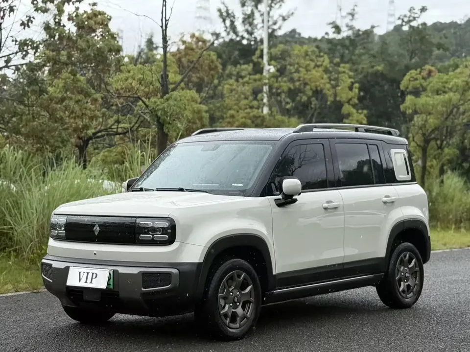 Baojun Yueya Plus Yueya Plus 2026 301km Flagship Edition 2025 — photo 1, buy with delivery to Moscow