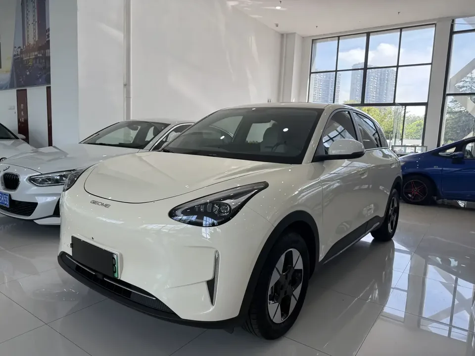 Geely Star Wish Star Wish 2025 310km Dream Edition 2025 — photo 1, buy with delivery to Moscow
