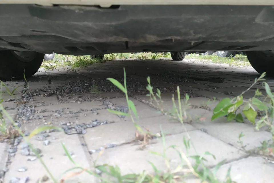 Toyota Corolla Corolla 2022 Dual Engine 1.8L E-CVT Pioneer Edition 2023 — thumbnail 5