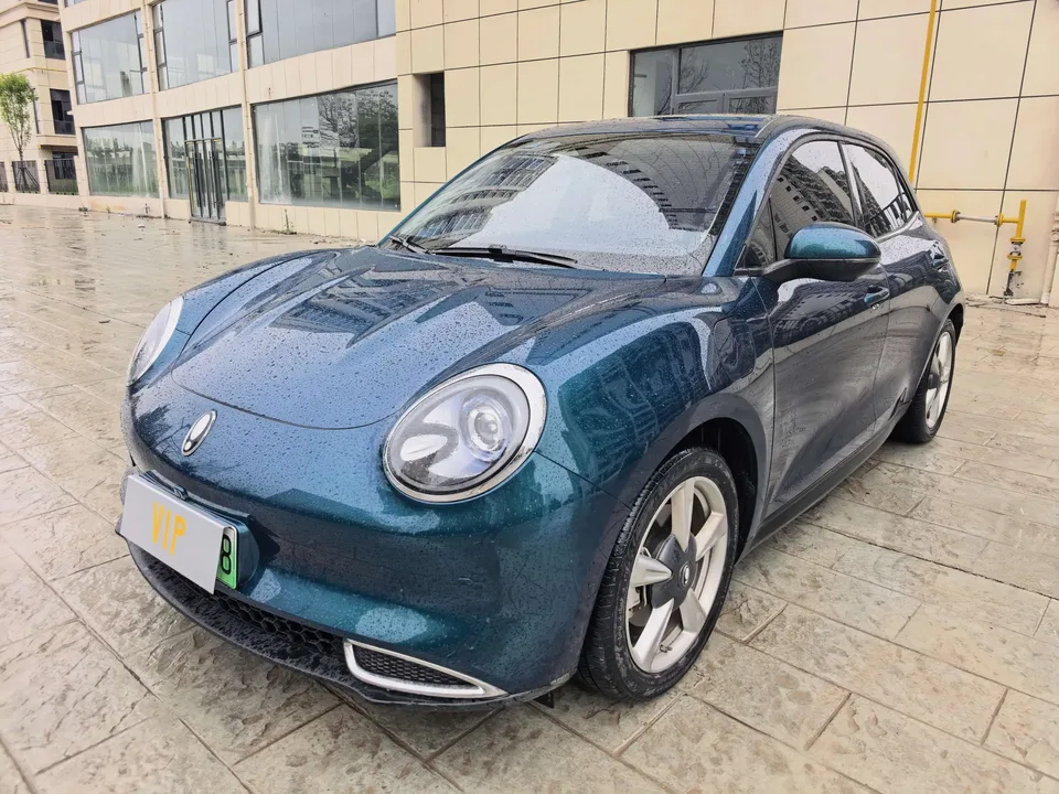 ORA Euler good cat Euler good cat 2024 401km Premium 2024 — photo 1, buy with delivery to Moscow