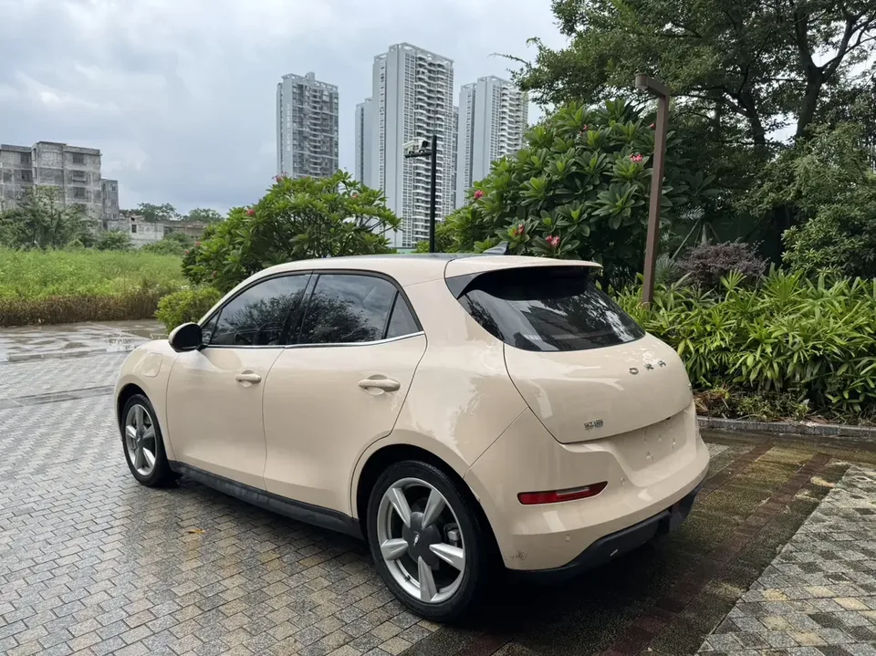 ORA Euler good cat Euler good cat 2024 401km Luxury 2024 — thumbnail 2