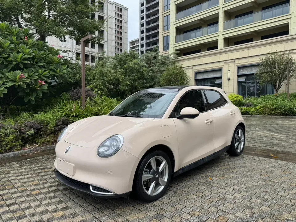 ORA Euler good cat Euler good cat 2024 401km Luxury 2024 — photo 1, buy with delivery to Moscow