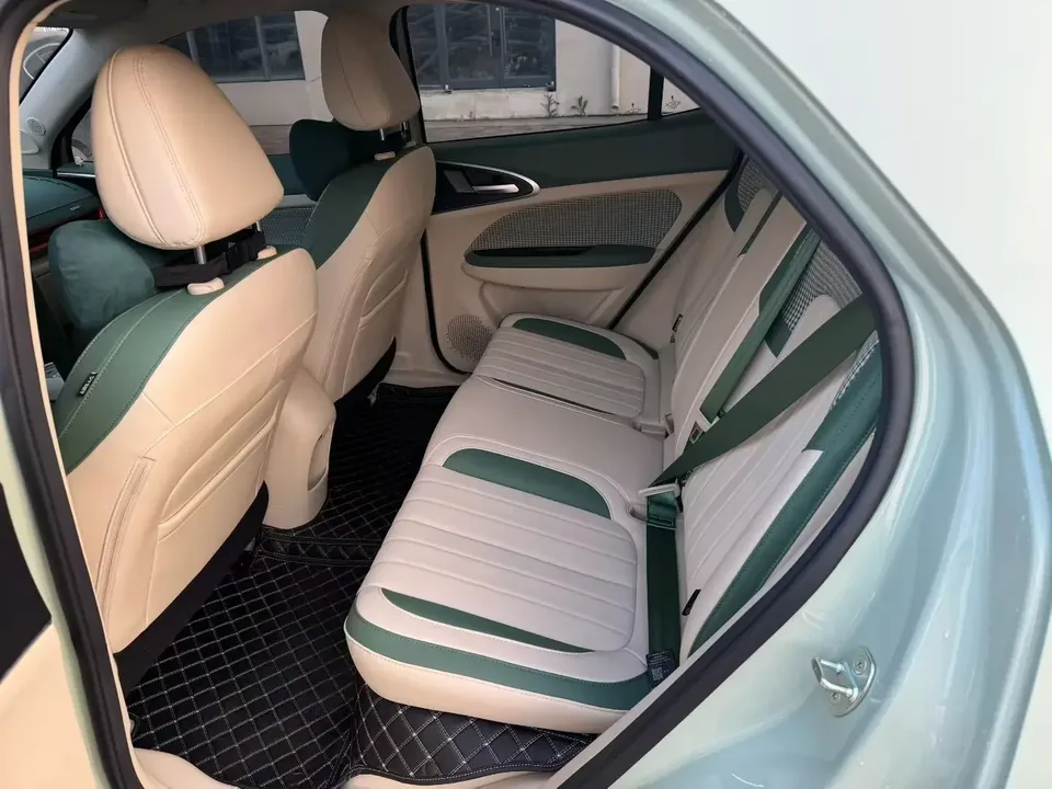 ORA Euler Good Cat GT Euler Good Cat GT 2023 Mulan Edition 401km Premium 2024 — thumbnail 3