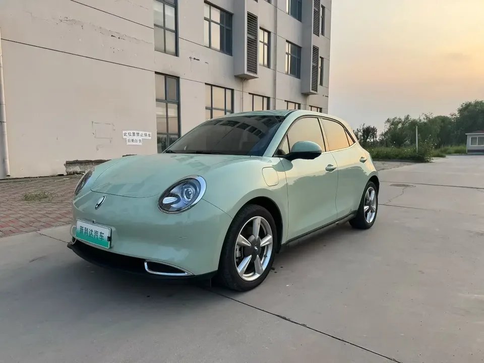 ORA Euler Good Cat GT Euler Good Cat GT 2023 Mulan Edition 401km Premium 2024 — photo 1, buy with delivery to Moscow