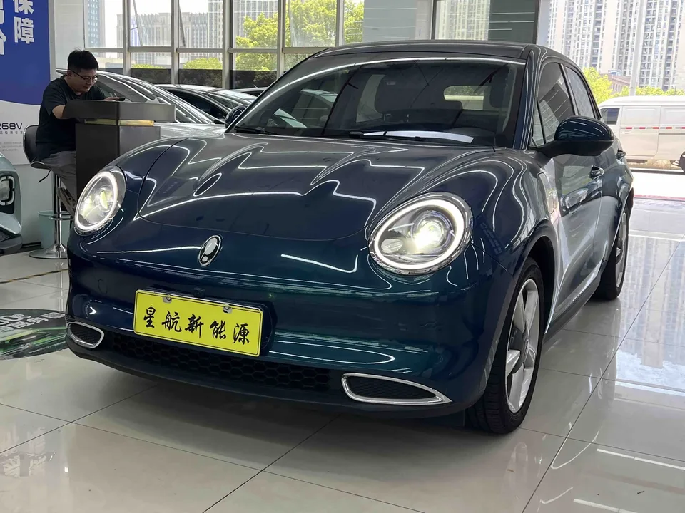 ORA Euler good cat Euler good cat 2023 401km standard endurance luxury lithium iron phosphate 2023 — photo 1, buy with delivery to Moscow