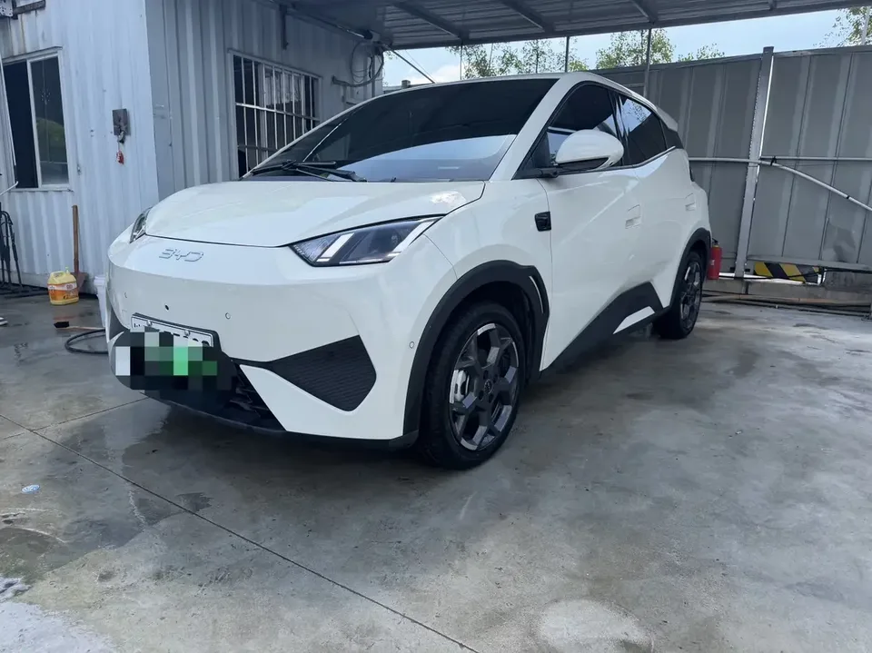 BYD Seagull seagull 2025 305KM Vitality Edition 2025 — photo 1, buy with delivery to Moscow