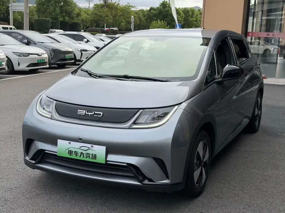 BYD Dolphin dolphin 2023 Free version 2024 — photo 1, buy with delivery to Moscow