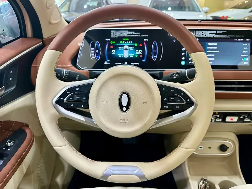 ORA Euler good cat Euler good cat 2023 401km standard endurance luxury lithium iron phosphate 2024 — thumbnail 5