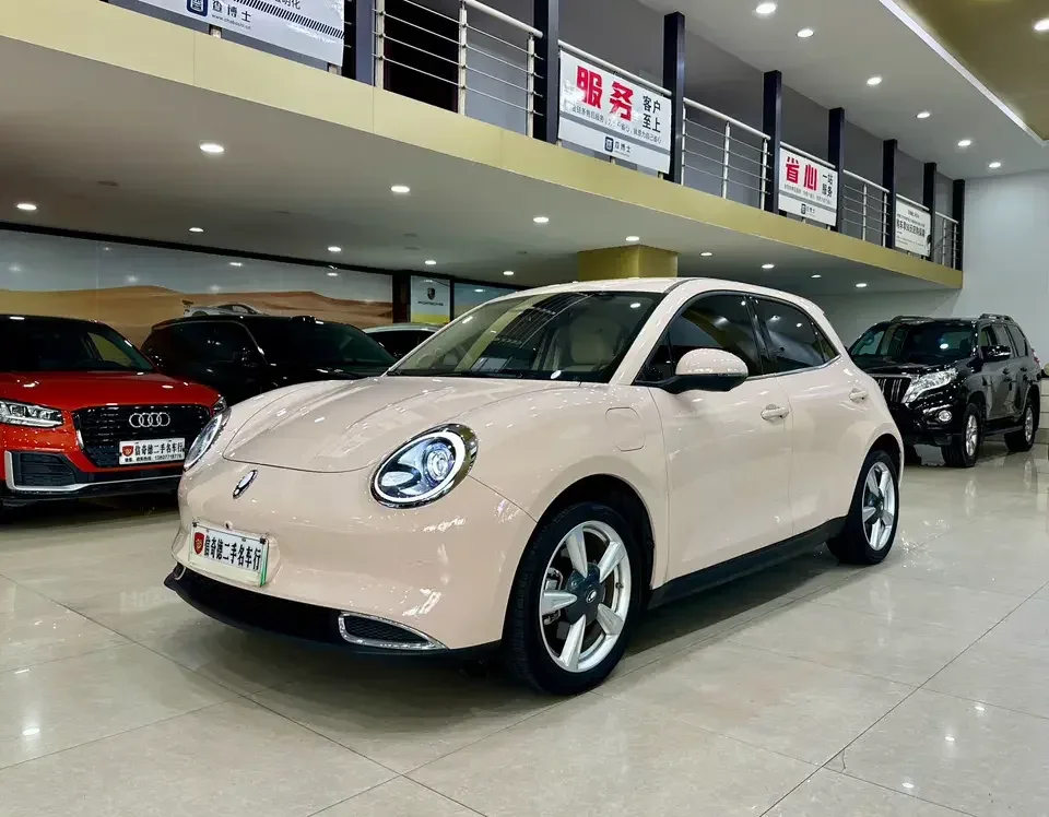 ORA Euler good cat Euler good cat 2023 401km standard endurance luxury lithium iron phosphate 2024 — photo 1, buy with delivery to Moscow