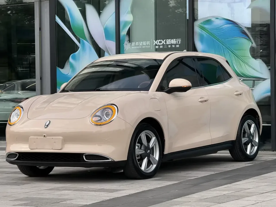 ORA Euler good cat Euler good cat 2022 400km standard endurance premium ternary lithium 2022 — photo 1, buy with delivery to Moscow