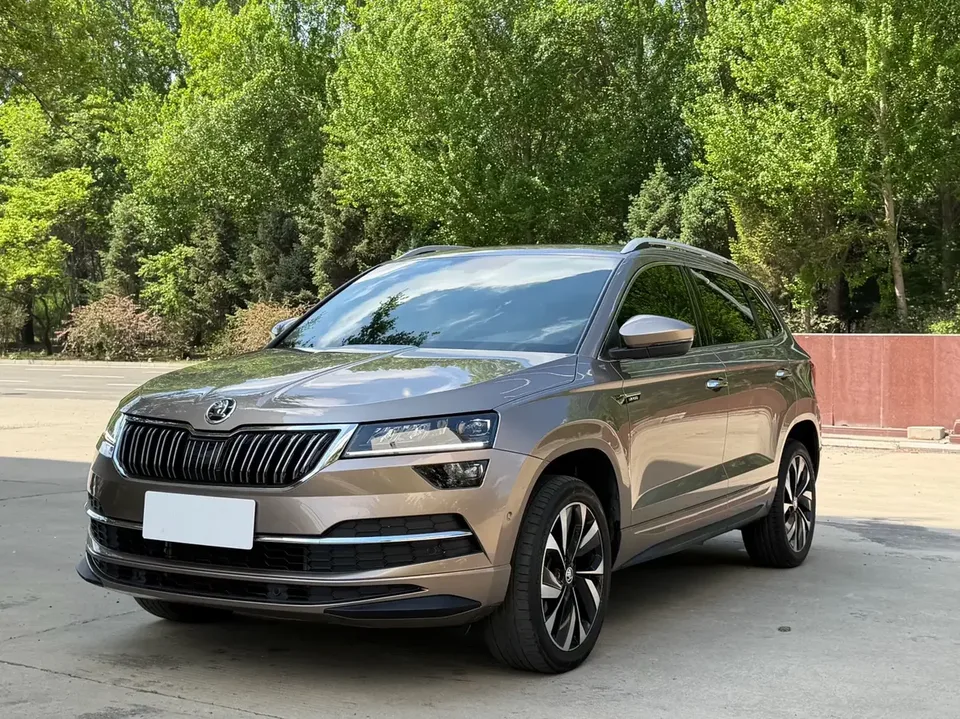 Skoda Karoq Korok 2021 TSI280 Technology Edition 2023 — photo 1, buy with delivery to Moscow