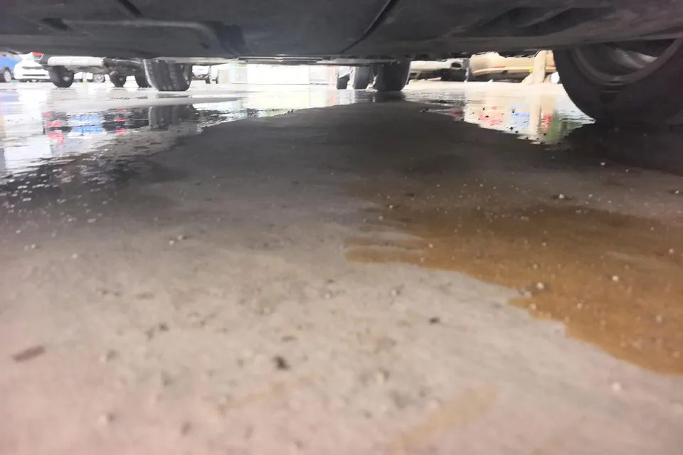 Toyota Corolla Corolla 2021 Dual Engine 1.8L E-CVT Elite Edition 2023 — thumbnail 3