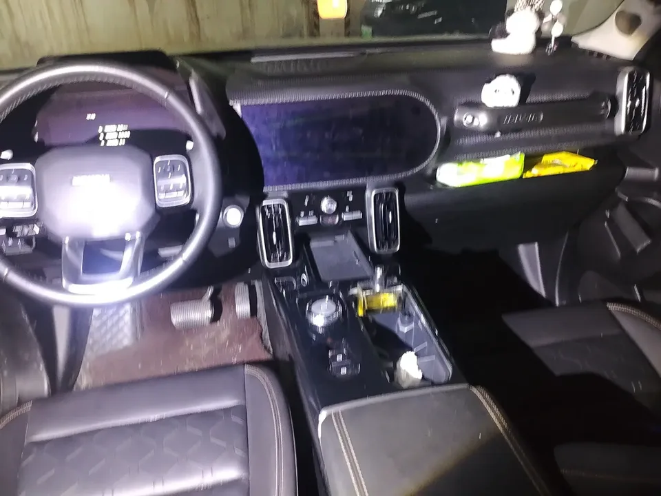 Haval Dargo Harvard dog 2022 1.5T 2WD Border Collie Edition 2023 — thumbnail 2