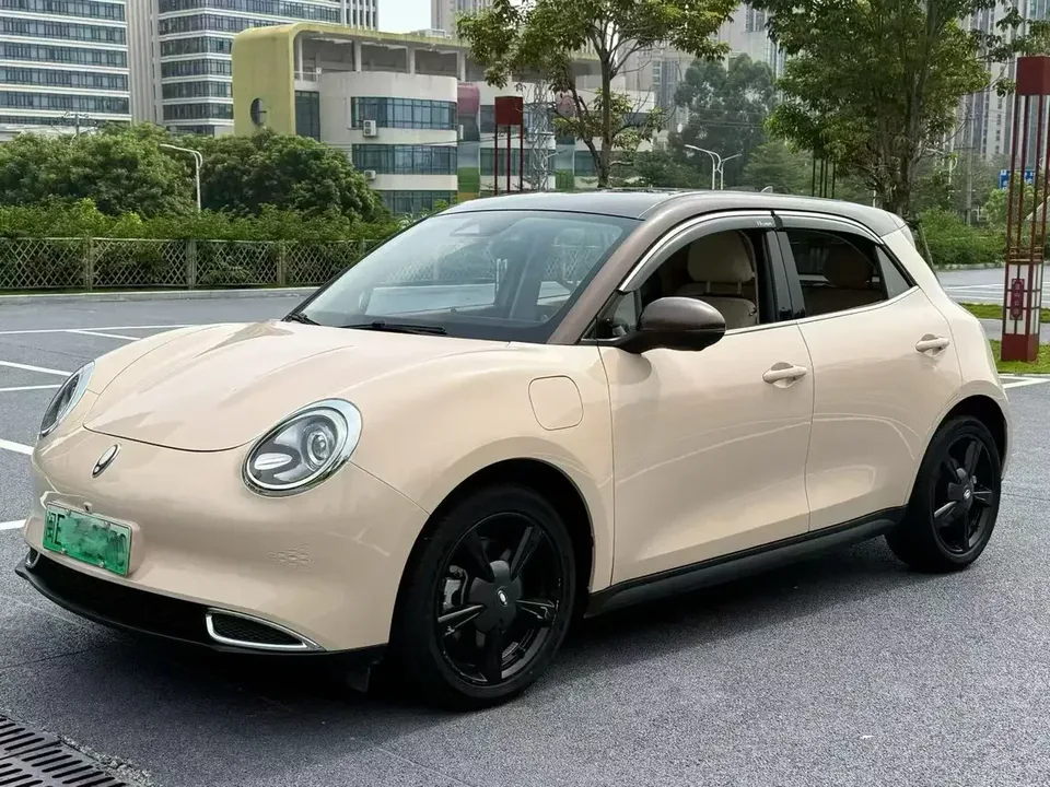 ORA Euler good cat Euler good cat 2021 400km standard range Athena version ternary lithium battery 2022 — photo 1, buy with delivery to Moscow