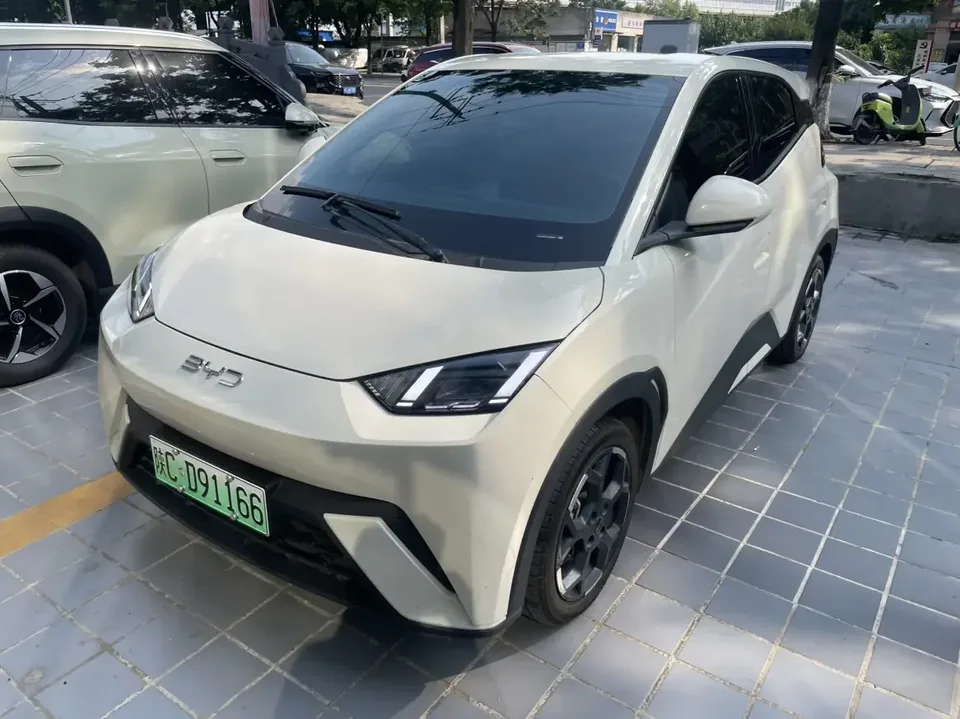 BYD Seagull seagull 2025 405KM Flying Edition 2025 — photo 1, buy with delivery to Moscow