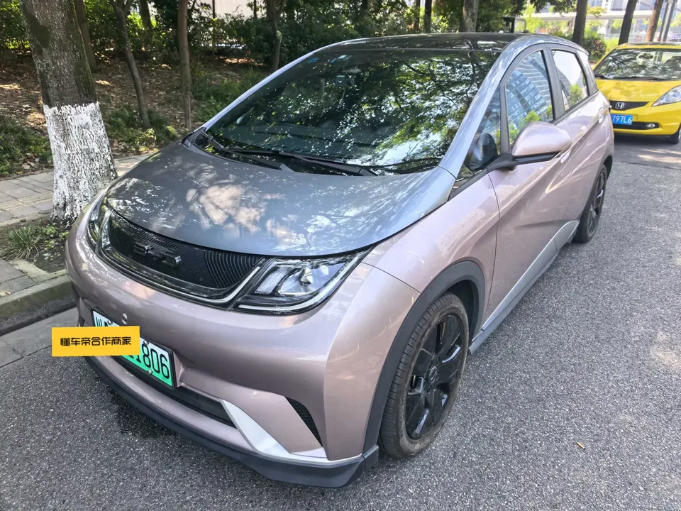 BYD Dolphin dolphin 2021 Knight Edition 2022 — photo 1, buy with delivery to Moscow