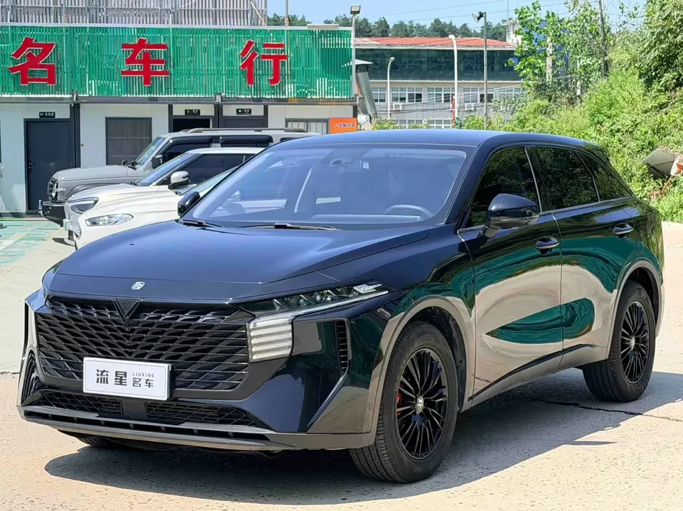Kai Chen Venucia Big V Venucia Big V 2022 260T Dark Horse Edition Idol 2023 — photo 1, buy with delivery to Moscow