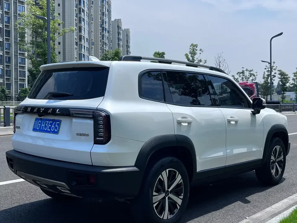 Haval Dargo Harvard dog 2022 1.5T 2WD Labrador Edition 2022 — thumbnail 2