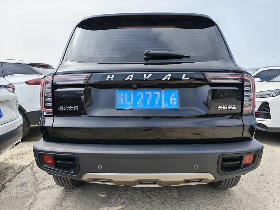 Haval Dargo Harvard dog 2021 1.5T 2WD Border Collie Edition 2022 — thumbnail 2