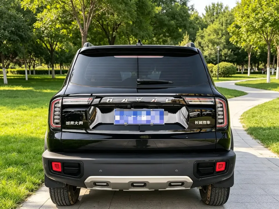 Haval Dargo Harvard dog 2022 1.5T 2WD Labrador Edition 2023 — thumbnail 2