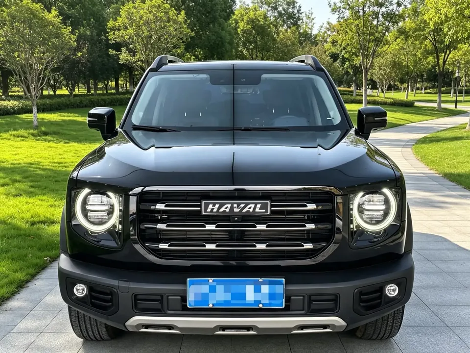 Haval Dargo Harvard dog 2022 1.5T 2WD Labrador Edition 2023 — photo 1, buy with delivery to Moscow