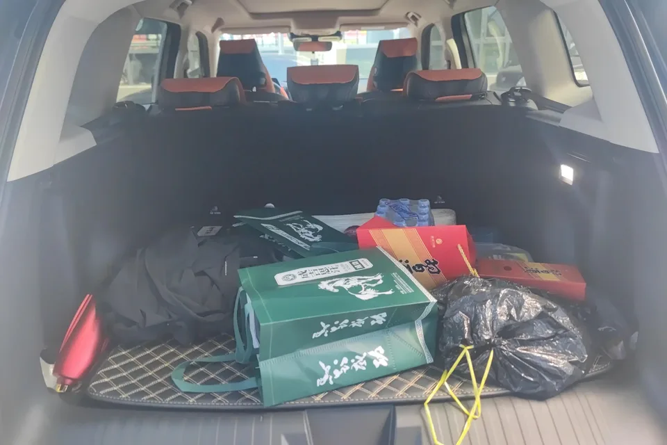 Haval Dargo Harvard dog 2026 1.5T 2WD Border Collie Edition 2025 — thumbnail 5