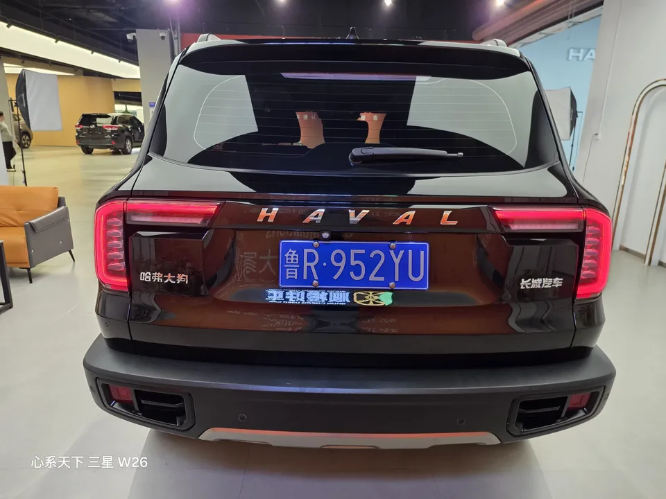 Haval Dargo Harvard dog 2022 1.5T 2WD Border Collie Edition 2022 — thumbnail 2