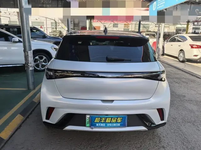 BYD Dolphin dolphin 2023 Fashion version 2024 — thumbnail 5