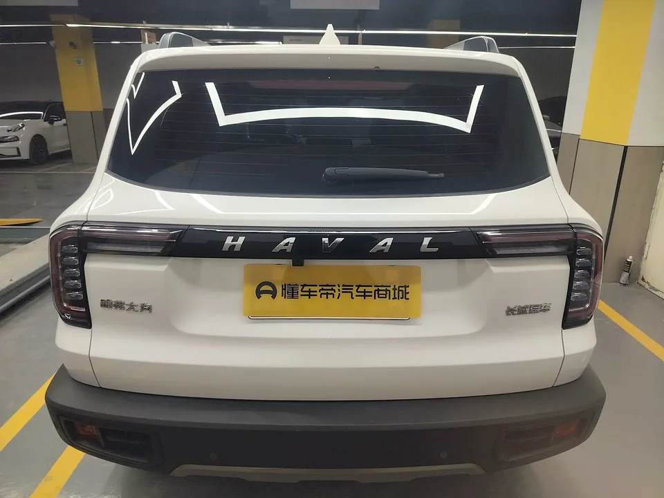 Haval Dargo Haval Big Dog 2021 1.5T 2WD Labrador Edition 2022 — миниатюра 2