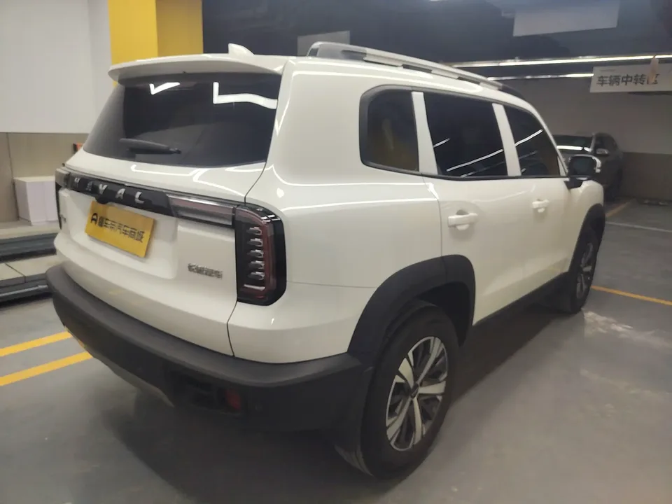 Haval Dargo Haval Big Dog 2021 1.5T 2WD Labrador Edition 2022 — миниатюра 4