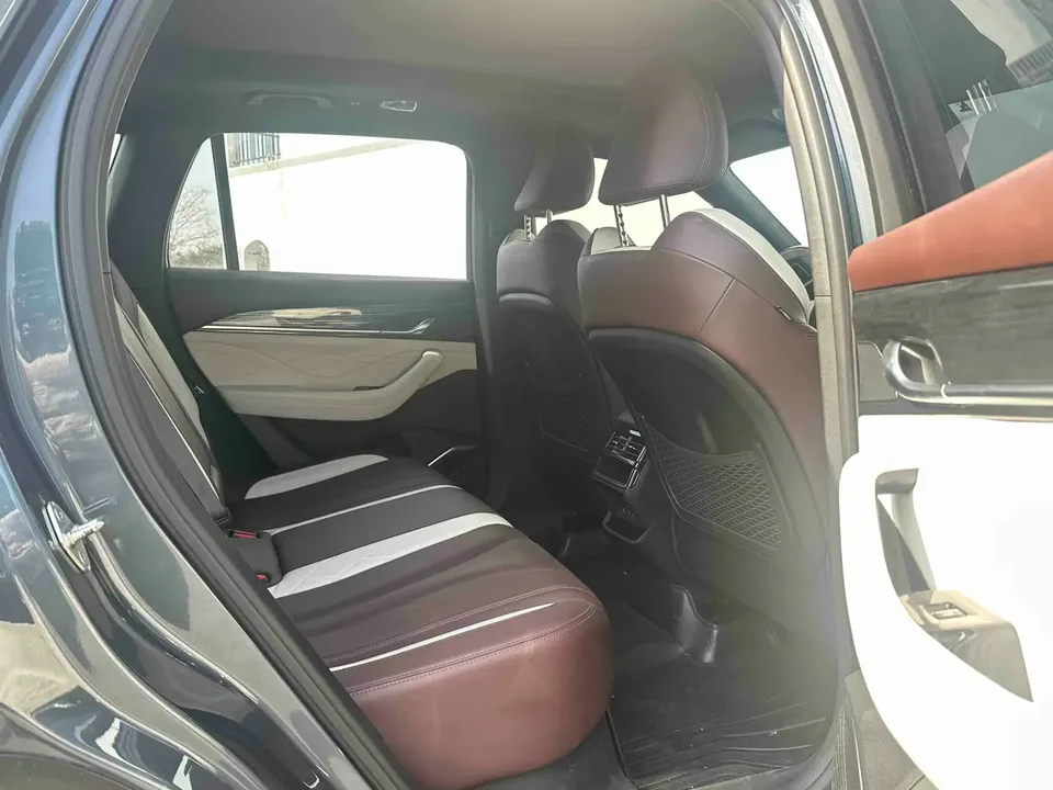 Geely Monjaro 2.0TD DCT EVO 2WD Premium Edition 2023 — миниатюра 4