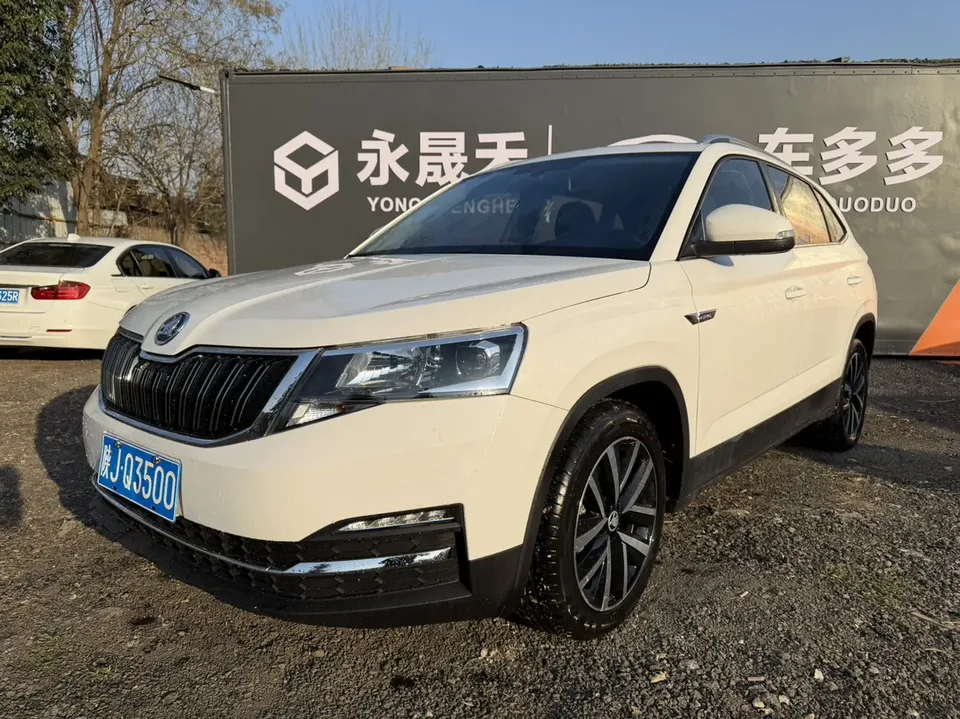 Skoda Comek Comek 2022 1.5L Automatic Comfort Edition 2022 — фото 1, купить с доставкой в Москву