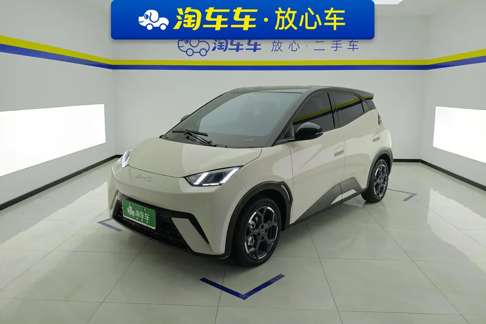 BYD Seagull seagull 2025 305KM Free Edition 2025 — photo 1, buy with delivery to Moscow