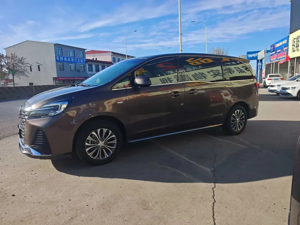 Buick GL8 Buick GL8 2023 2.0T Automatic RWD 7-seater Original Customized Edition 2022 — миниатюра 2