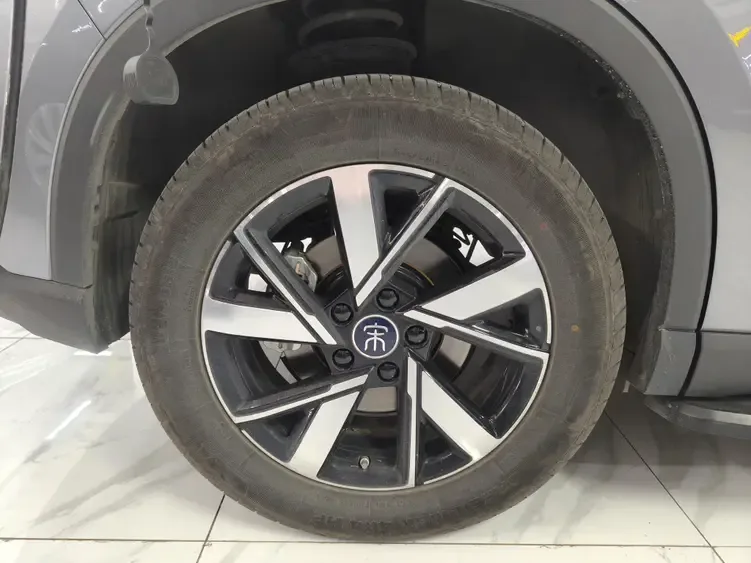 BYD Song Pro DM DM-i Champion Edition 110km Surpassing Edition 2024 — миниатюра 2