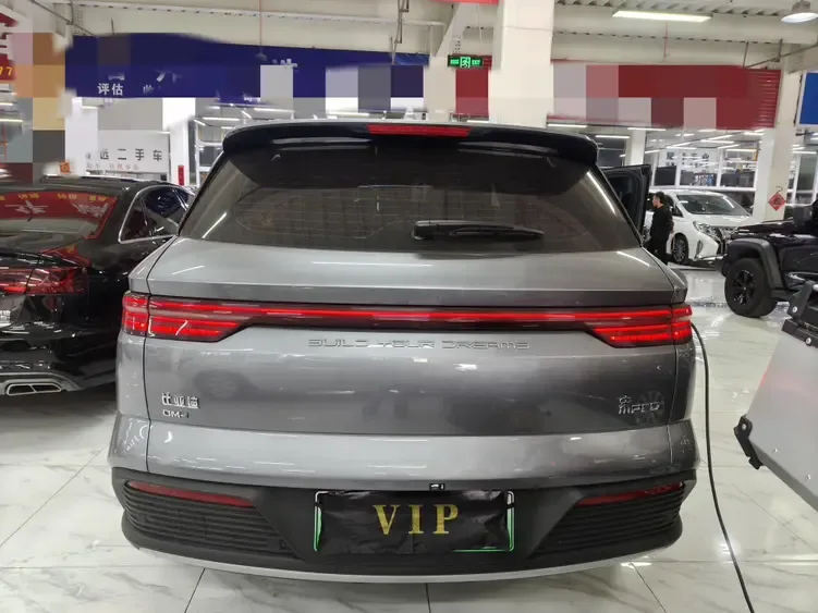 BYD Song Pro DM DM-i Champion Edition 110km Surpassing Edition 2024 — миниатюра 4