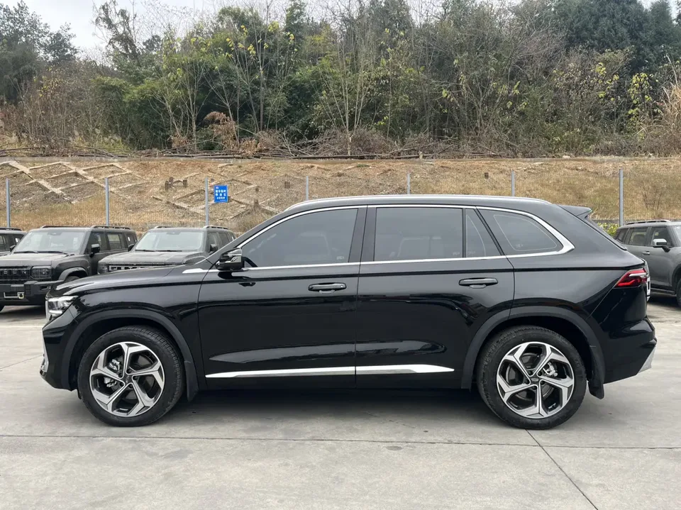 Geely Monjaro 2.0TD DCT EVO 2WD Changfeng Edition 2025 — миниатюра 4