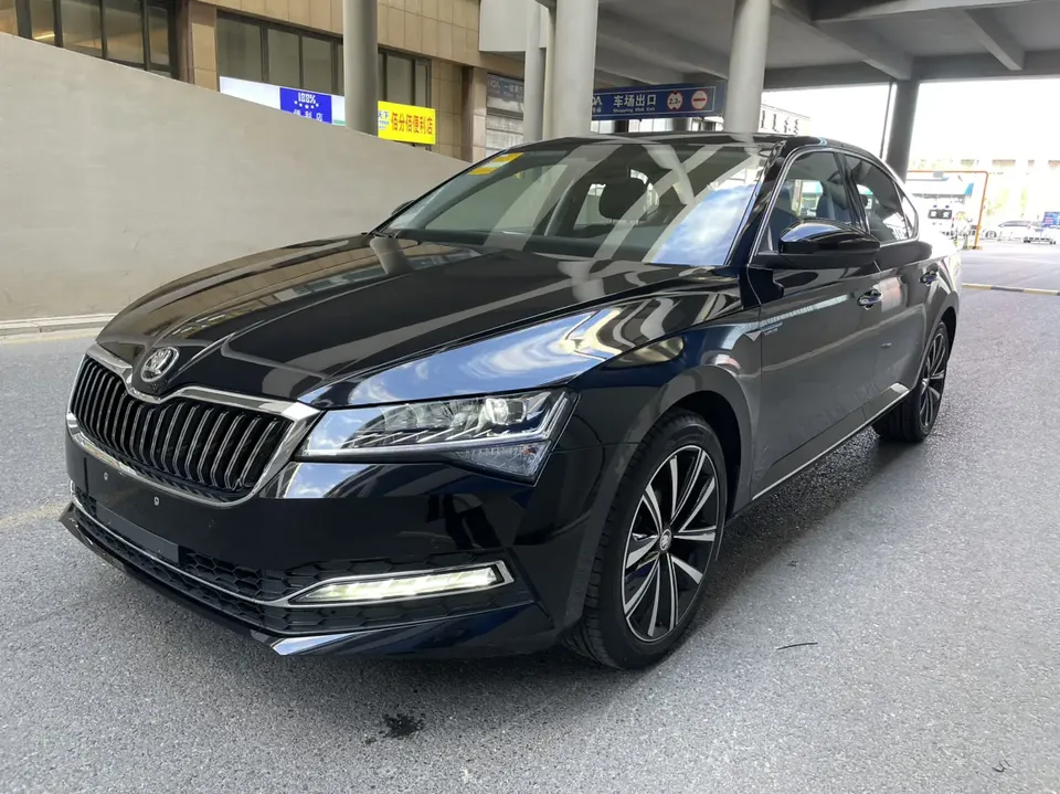 Skoda Speedy 2024