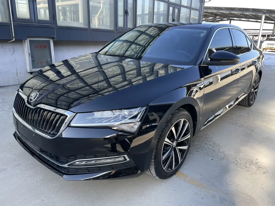 Skoda Speedy 2024