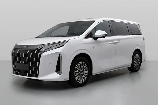 BYD M9 1060 2025 — фото 1, купить с доставкой в Москву