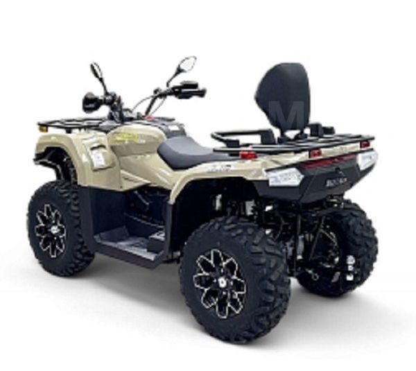 Bizon YK250 Lux EFI 2026 — 3