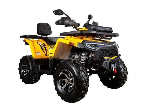 Avantis Hunter 250 Premium 2026