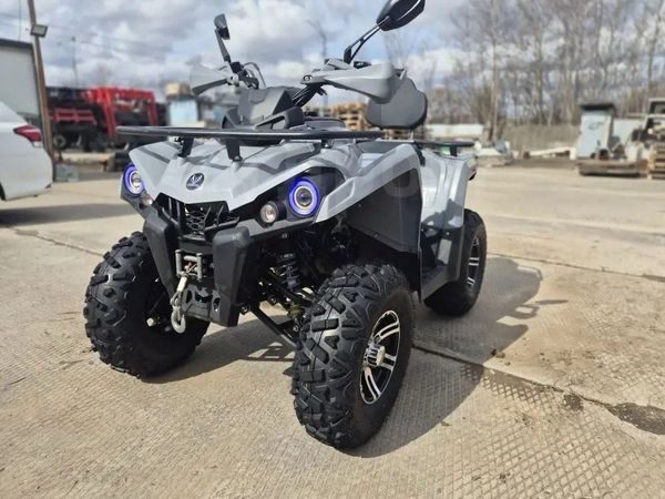 Mikilon Hammer 200 LUX 2024