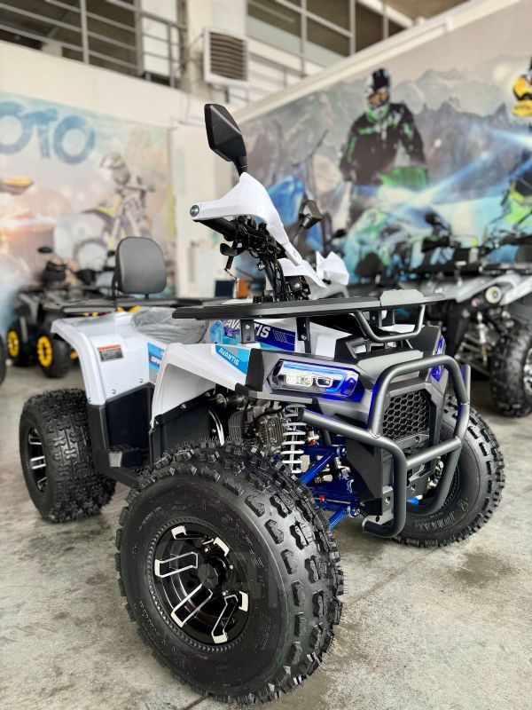 Avantis Optima 8+ 2026