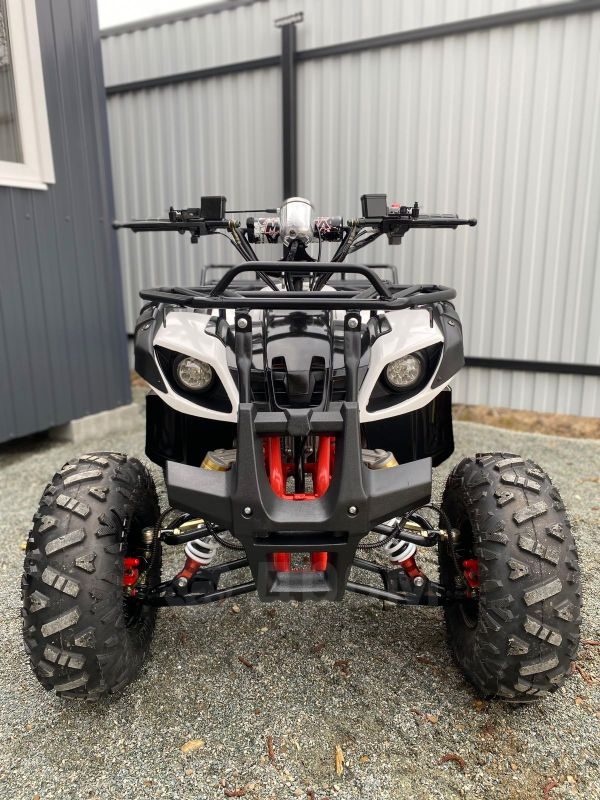 Grizzly 125 2026