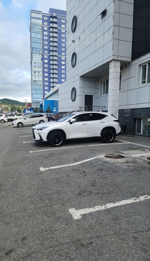 Lexus NX 250 2022