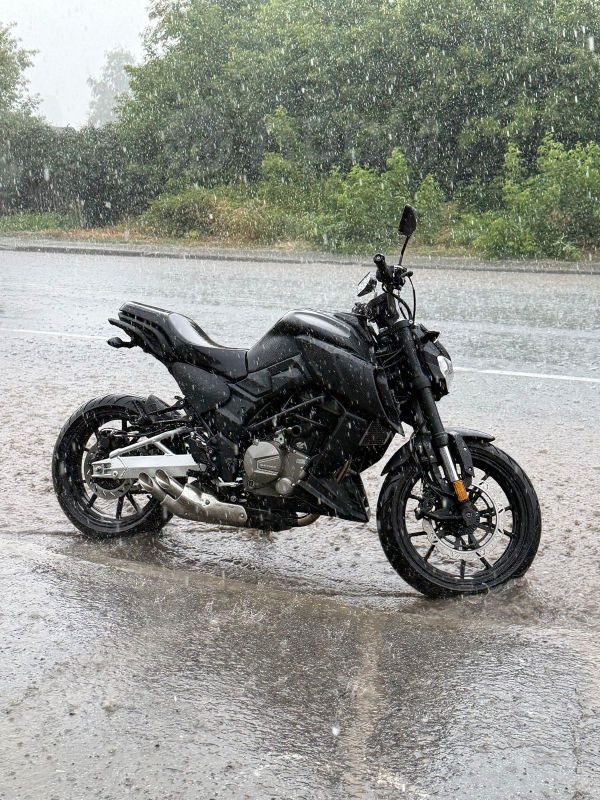 Regulmoto Alien Monster 300 2025