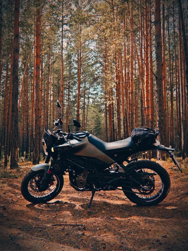 HUSQVARNA Svartpilen 401 2023