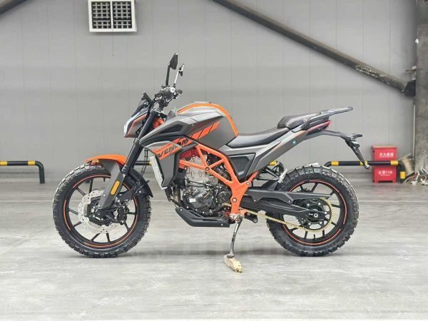 Regulmoto Venom 2025